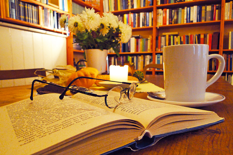 Lesepause im Lila Haus